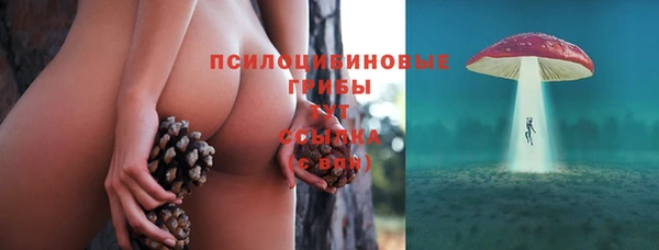 тгк Магадан