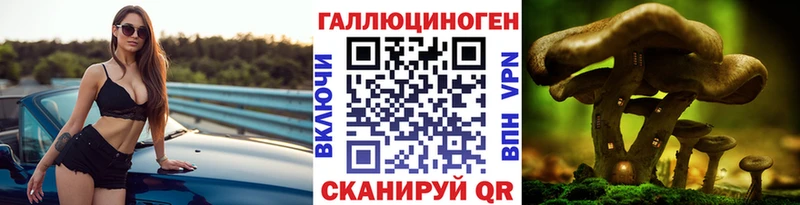 наркота Орёл Галлюциногенные грибы Psilocybe